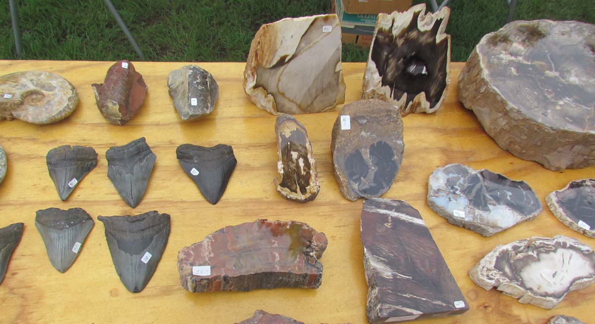 The Agatelady Adventures and Events Moose Lake Agate Days Post 2