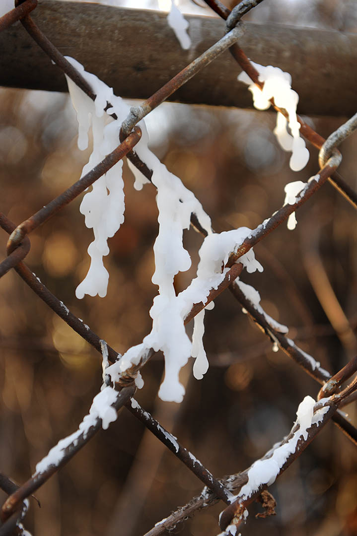 Pgpd News Two Suspects In Custody In Connection With Riverdale Park Homicide