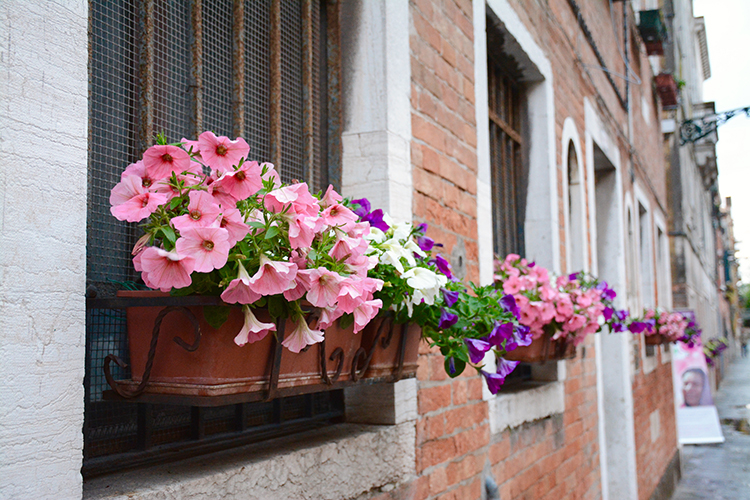 Travel: Venice, Italy | My Darling Days Travel: Venice, Italy | My Darling Days