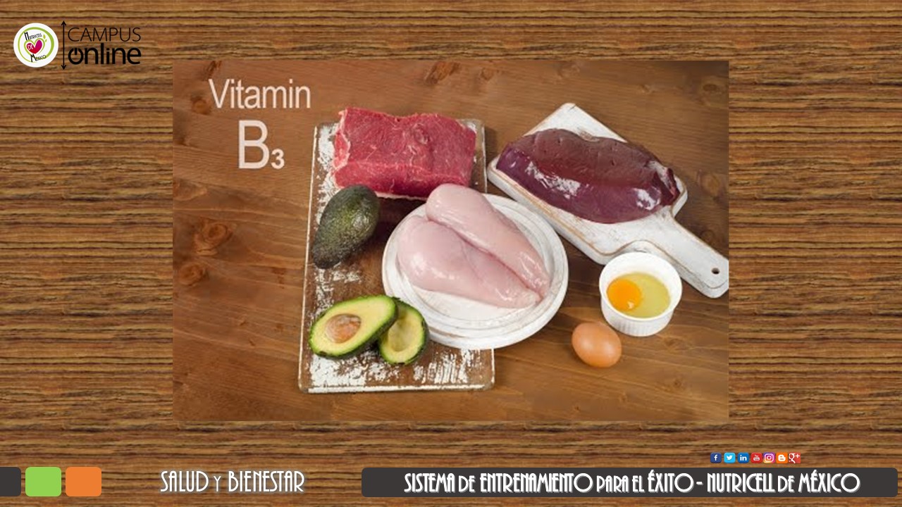 Nutricell International Company LA IMPORTANCIA DE LA VITAMINA B3