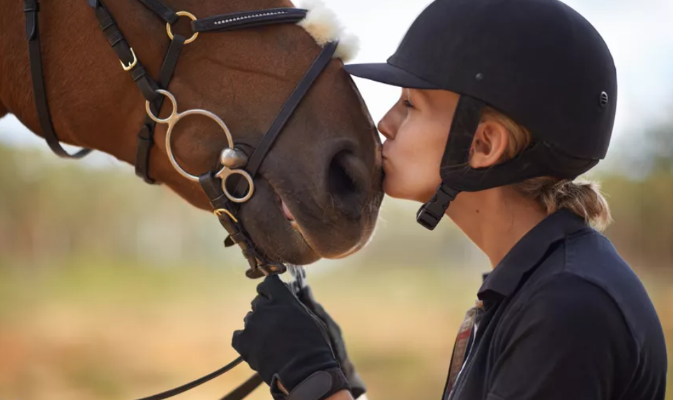 Protection for your Horse’s Health Horse Insurance