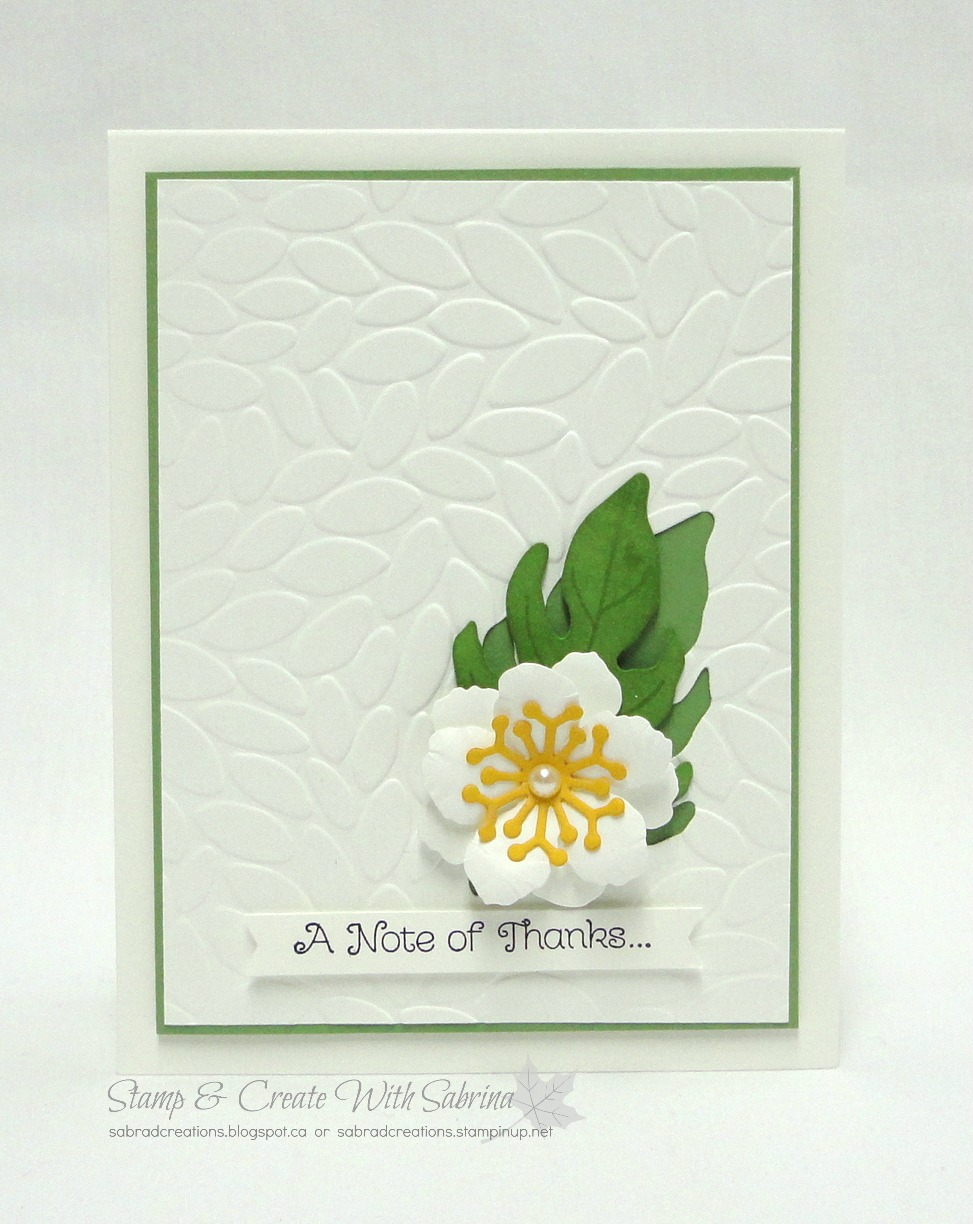 Stamp & Create With Sabrina Petal Burst Embossing Folder & Botanical