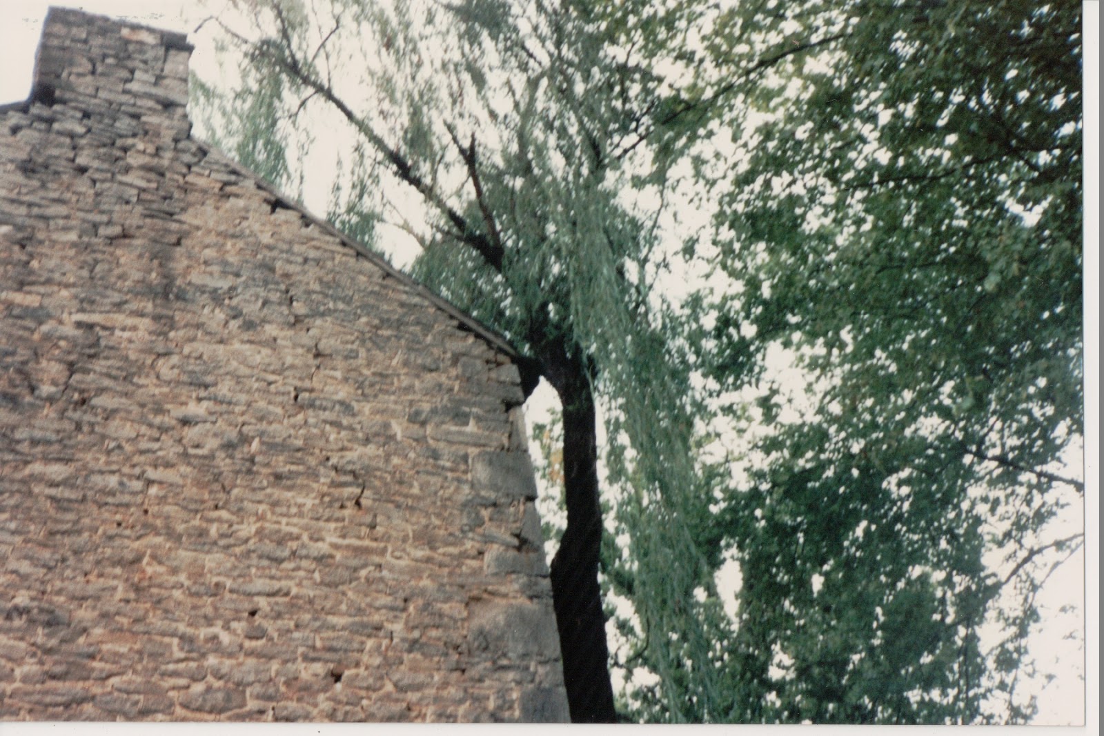 Standing Alone on the 2015