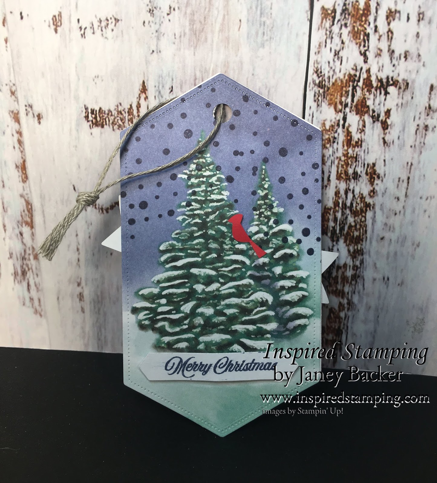 Inspired Stamping by Janey Backer: PPP Blog Hop Winter Woods
