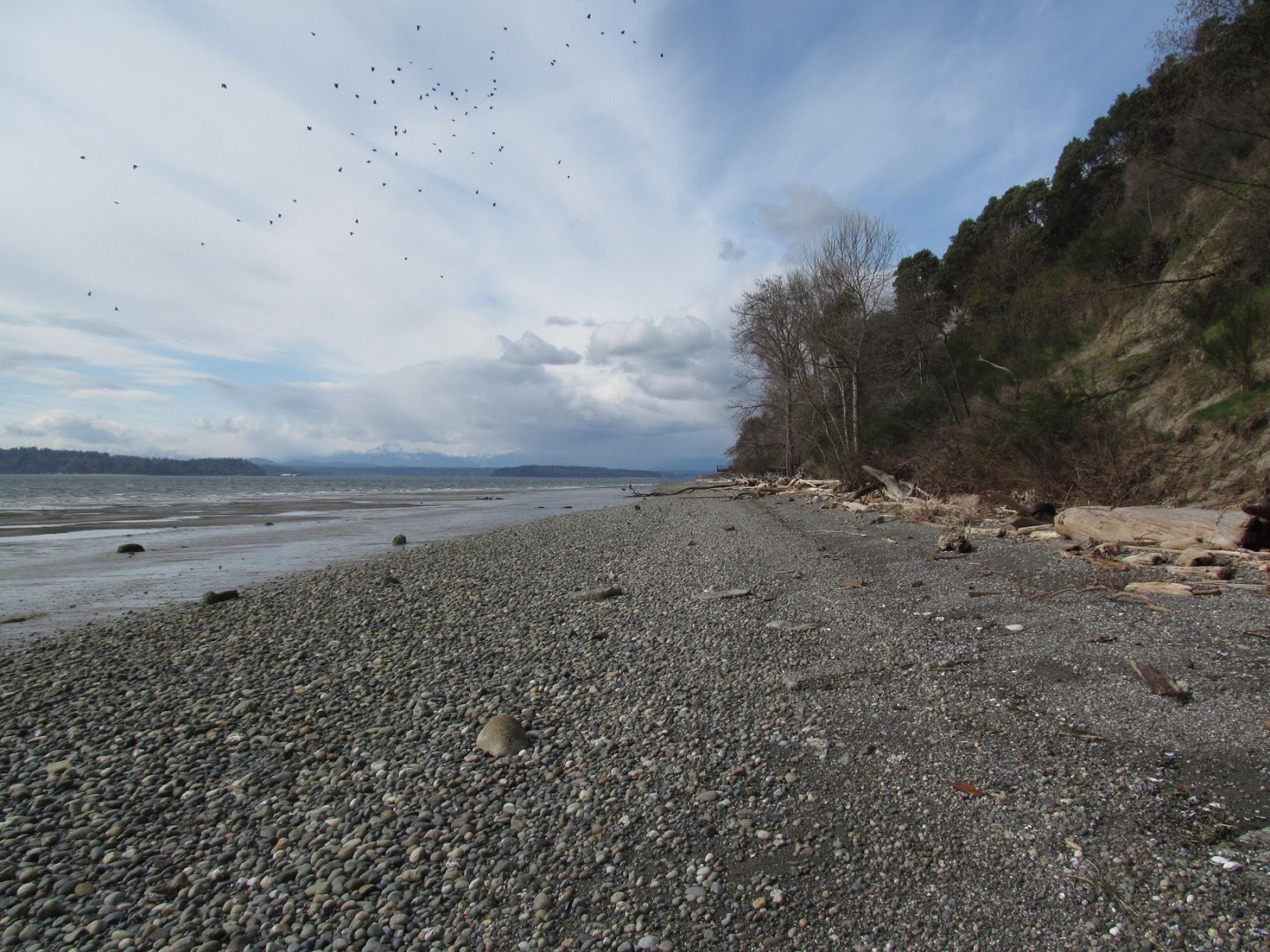 Gravel Beach Seola Beach