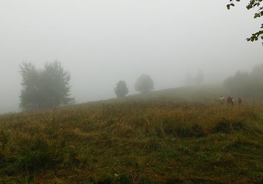 Przełęcz - tu kończy się las. Przełęcz - tu kończy się las.