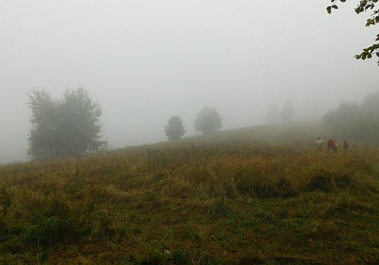 Przełęcz - tu kończy się las.