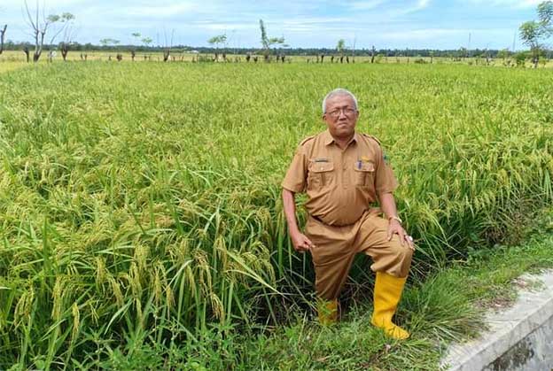 Kadis Tanaman Pangan%252C Hortikultura dan Perkebunan Pessel Nuzirwan