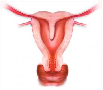 agenesia dita operacion