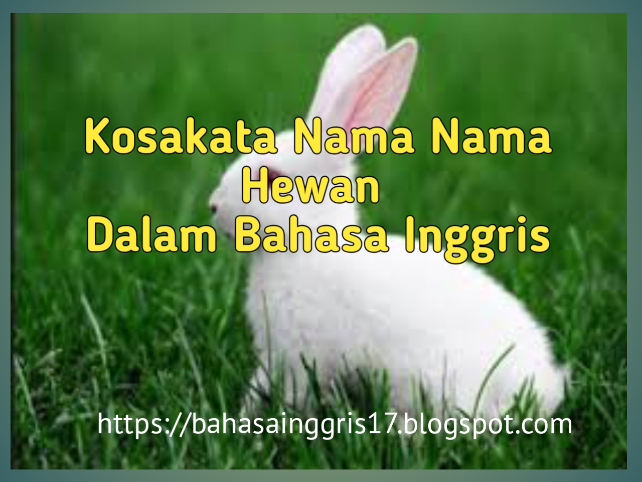 Kosakata Nama Nama Hewan Bahasa Inggris Belajar Inggris Kosakata Nama Nama Hewan Bahasa Inggris Belajar Inggris