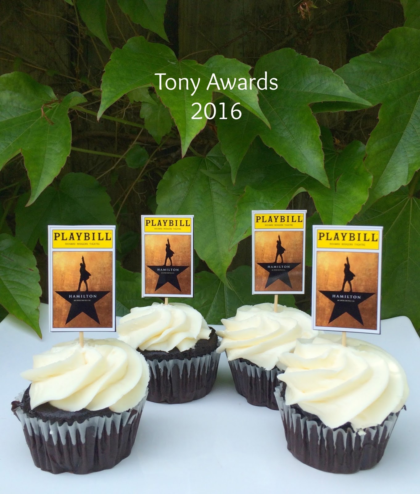 Jac o' lyn Murphy Hamilton Party Hoopla!