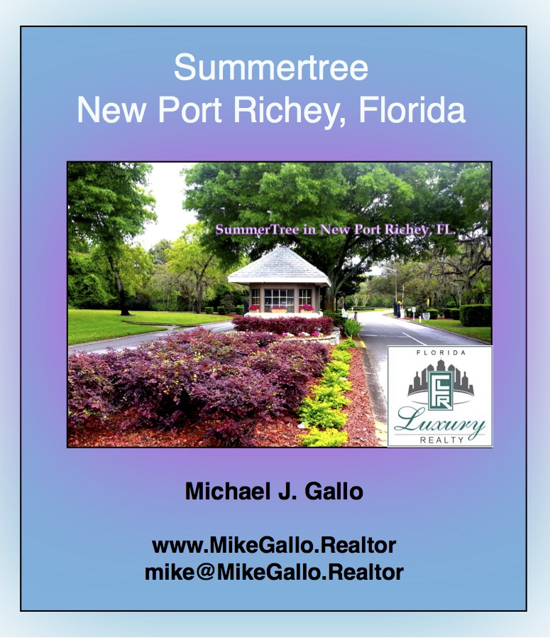 Realtor Mike Gallo's Blog Cross Creek at Summertree in New Port Richey