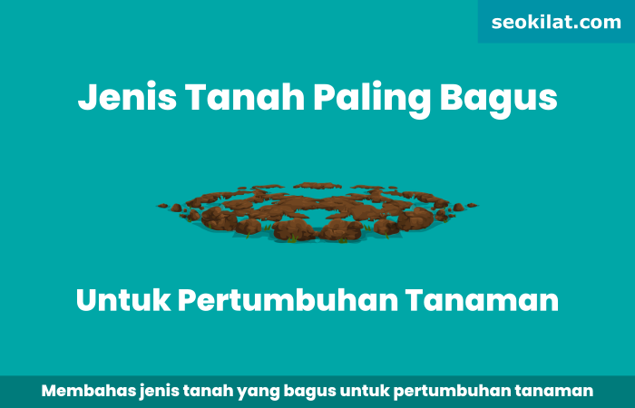 Jenis Tanah yang Paling Bagus untuk Pertumbuhan Tanaman Adalah Jenis Tanah yang Paling Bagus untuk Pertumbuhan Tanaman Adalah