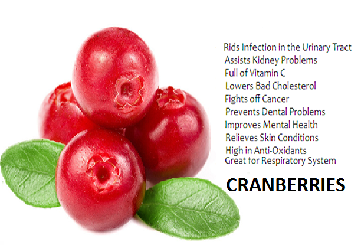 Medical and Health Science Health benefits of Cranberries!!