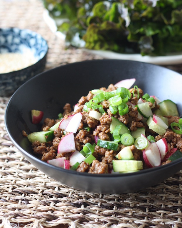 Chinese Five Spice Pork Stir-Fried for Lettuce Wrap by SeasonWithSpice.com