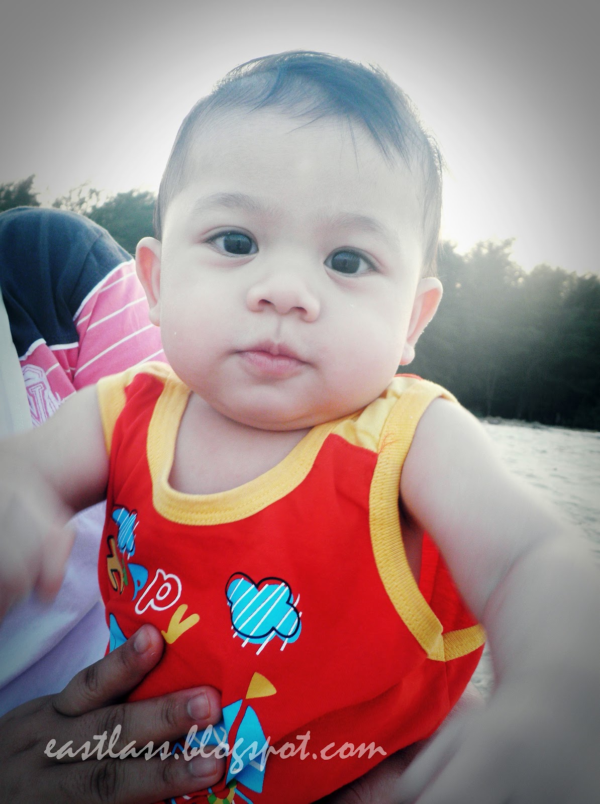 Belalai Gajah Ubat Darah Tinggi  Tower Spa