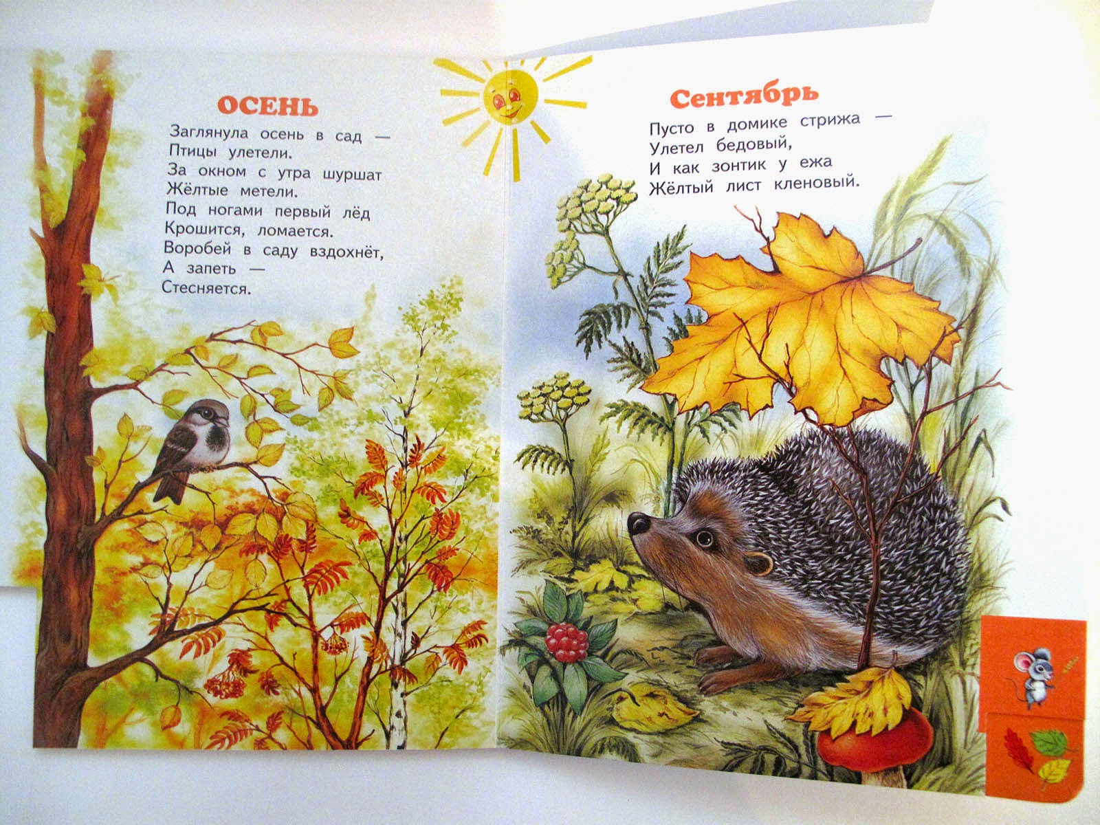 Заглянула осень в сад птицы улетели. За окном с утра шуршат жёлтые метели. Заглянула осень в сад птицы улетели за окном с утра. Спиши предложение 1 класс. Прочитайте заглянула.