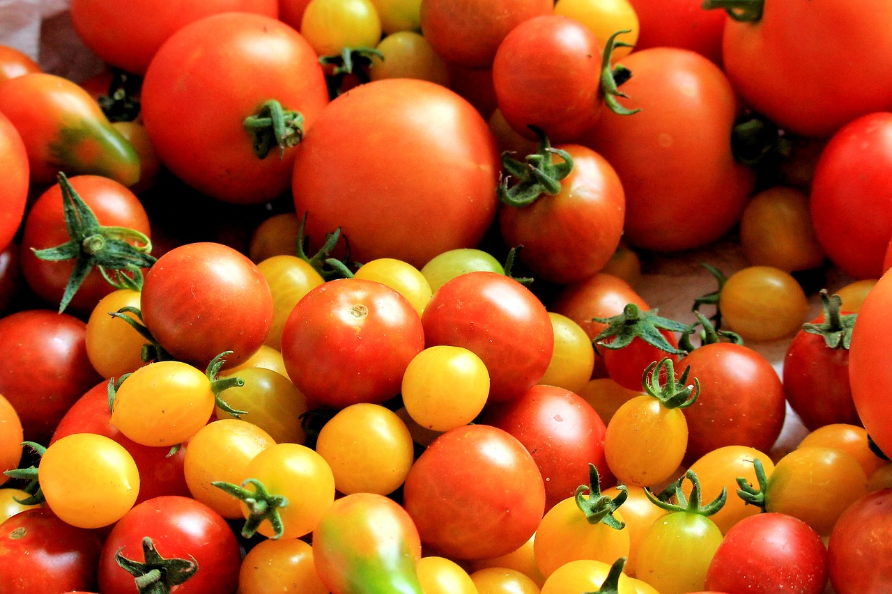 History of food 5 interesting facts about Tomatoes