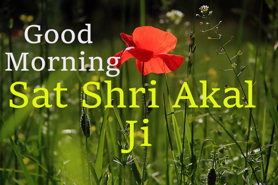 Top 10 Sat Shri Akal Ji Good Morning Images Greetings Pictures For