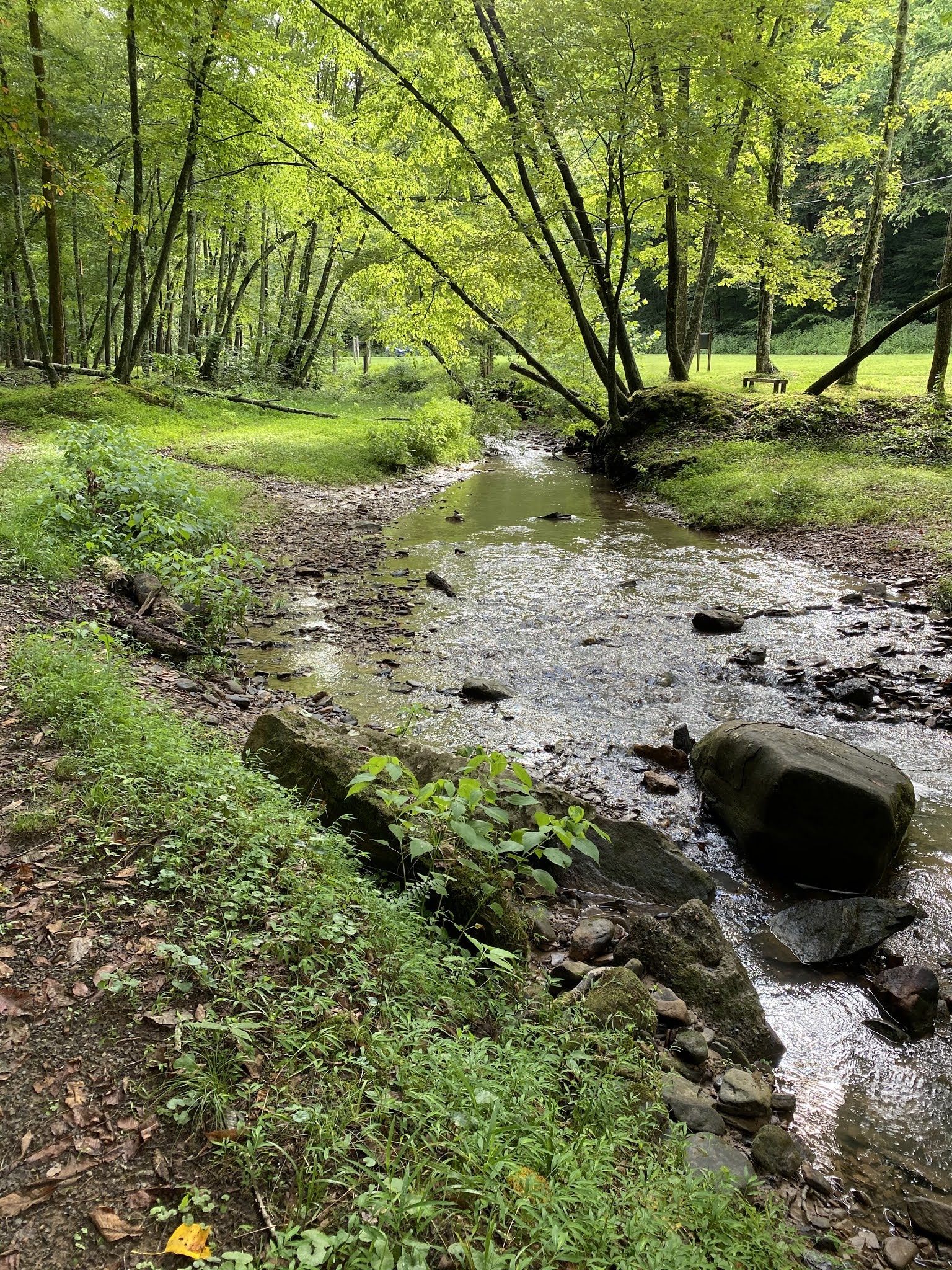 Chief Logan State Park