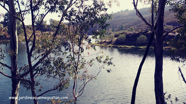 Embalse del Agrio