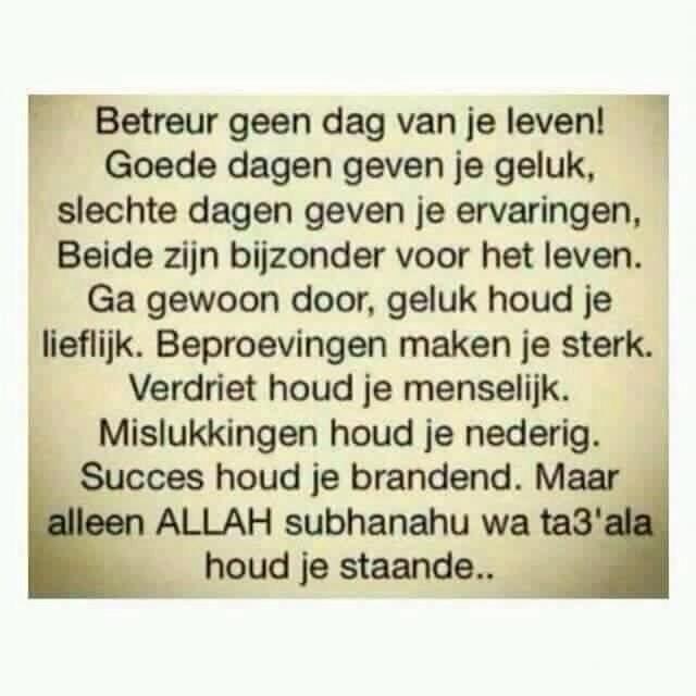 Citaten en Wijze Woorden uit de Islam Betreur geen dag Citaten en Wijze Woorden uit de Islam Betreur geen dag