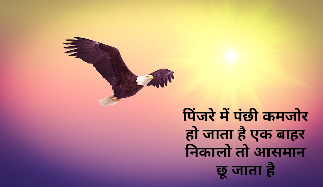 Birds Quotes In Hindi