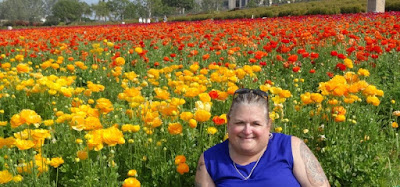 The Flower Fields in Carlsbad by Stacey Kuhns