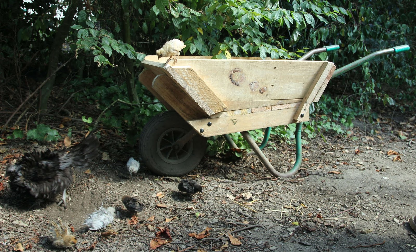 The Green Lever Using minimal resources for maximum quality of