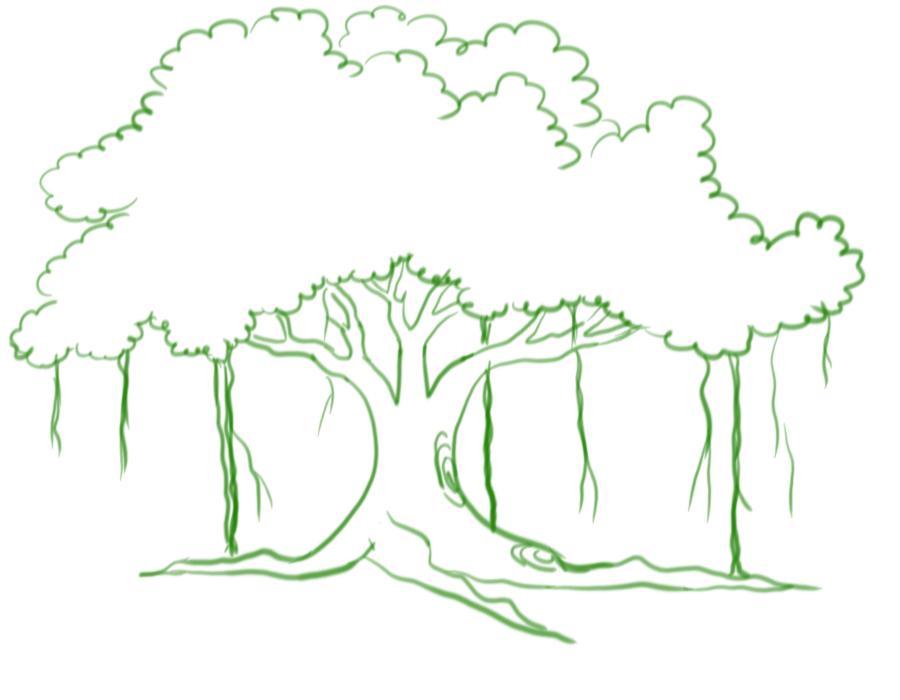 Banyan tree drawing easy with colour Indian national tree drawing