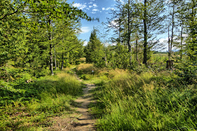 Hiking Loop around Złatna - Yellow Route