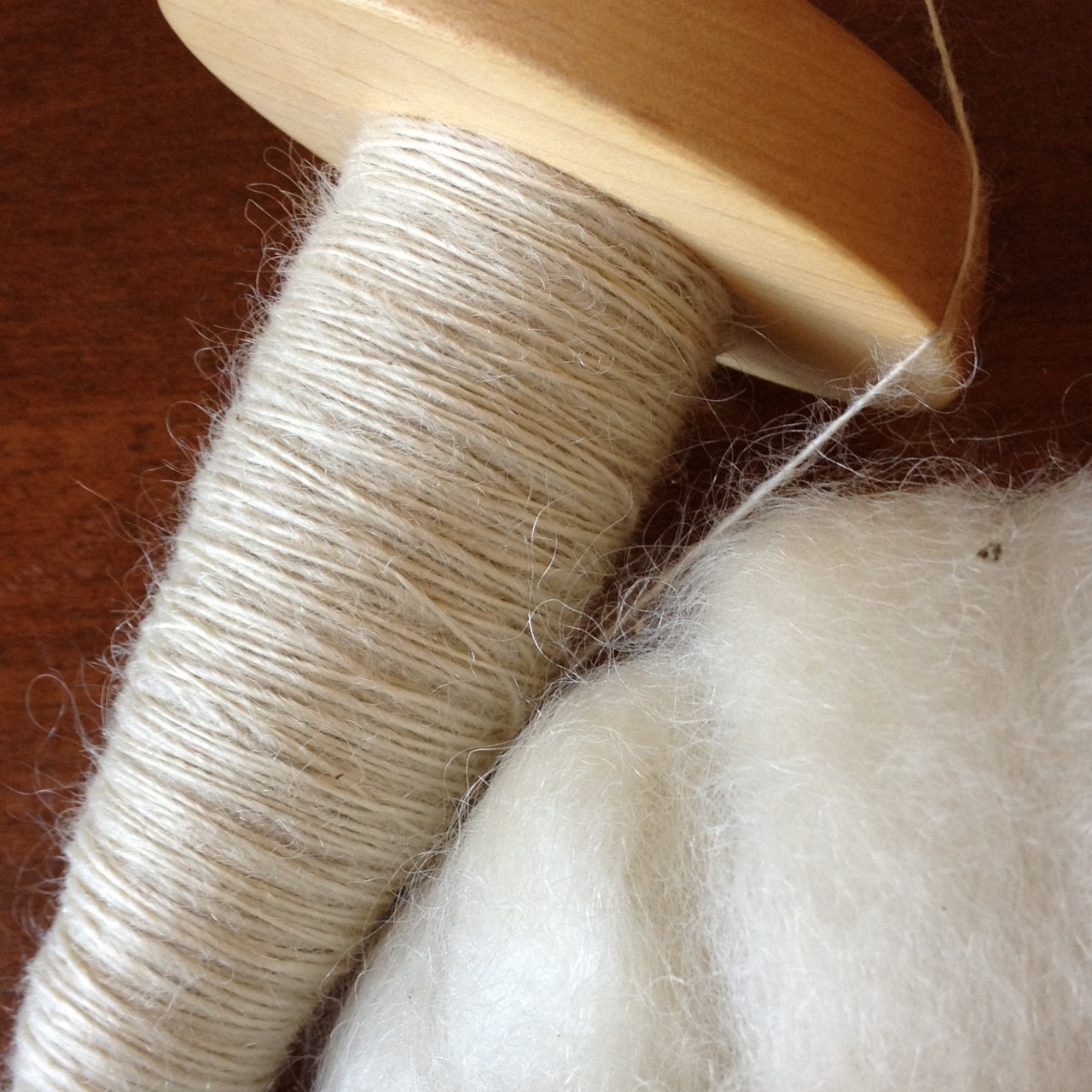 Pumpkin Spins Spinning Mohair Fiber