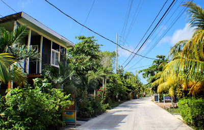 Remaxvipbelize - Paco's Tiki Bar