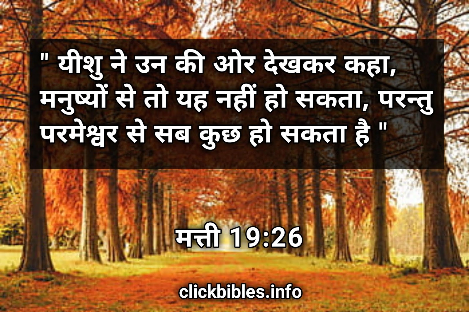 हिन्दी बाइबल वर्सेज Bible Quotes and Hindi Bible ...