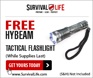 Free Flashlights - AD