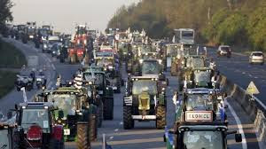 images%2B%25288%2529