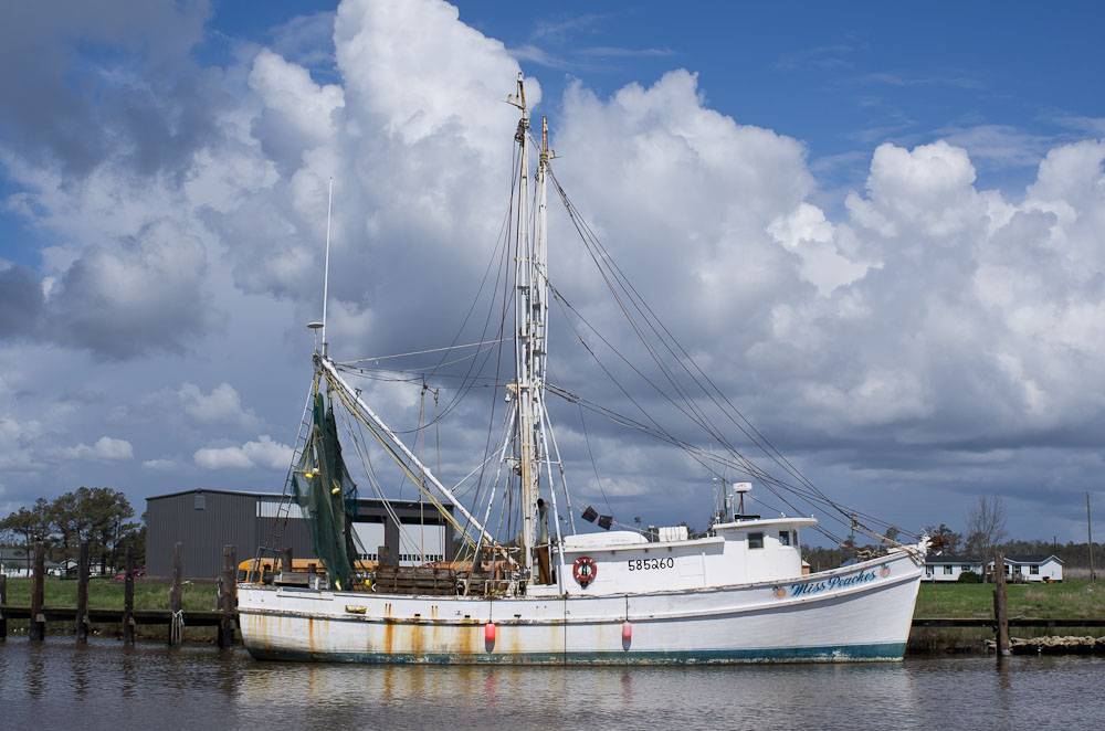 April 2012 Photography In Place