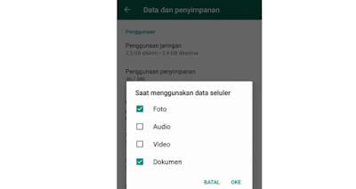 Kenapa Video Yang Dikirim Lewat Whatsapp Tidak Tersimpan Di Galeri Infoyes I
