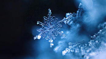 Snowflake Wallpapers 4K HD