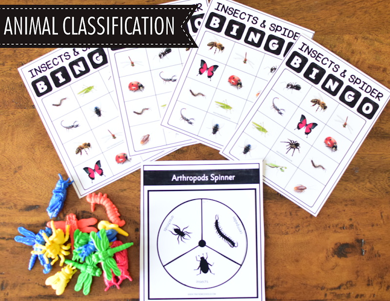 Insect Theme Printables: SAFARI TOOB INSECT Extension Activities