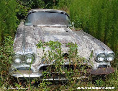 Grill of 1959 Corvette has teeth all in place after 34 years of sitting in field.