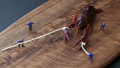 01-Christopher-Boffoli-Bio-Miniatures-with-Food-Lobster