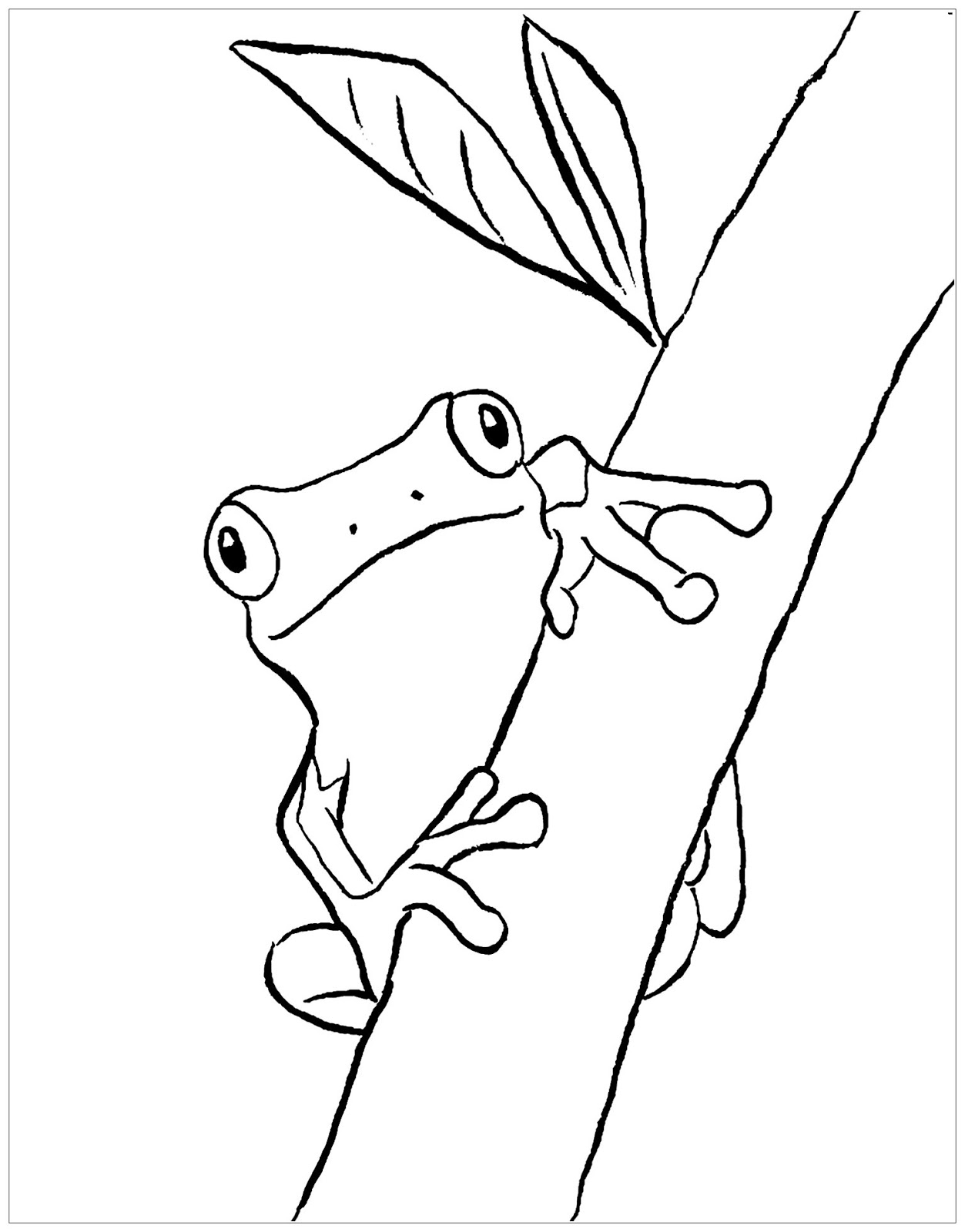 Tranh tô màu chú ếch bám trên thân cây