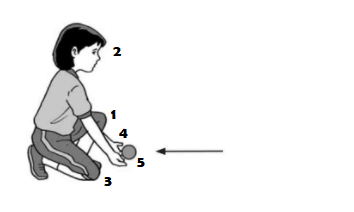 Tehnik Dasar Menangkap Bola Kasti - MaoliOka
