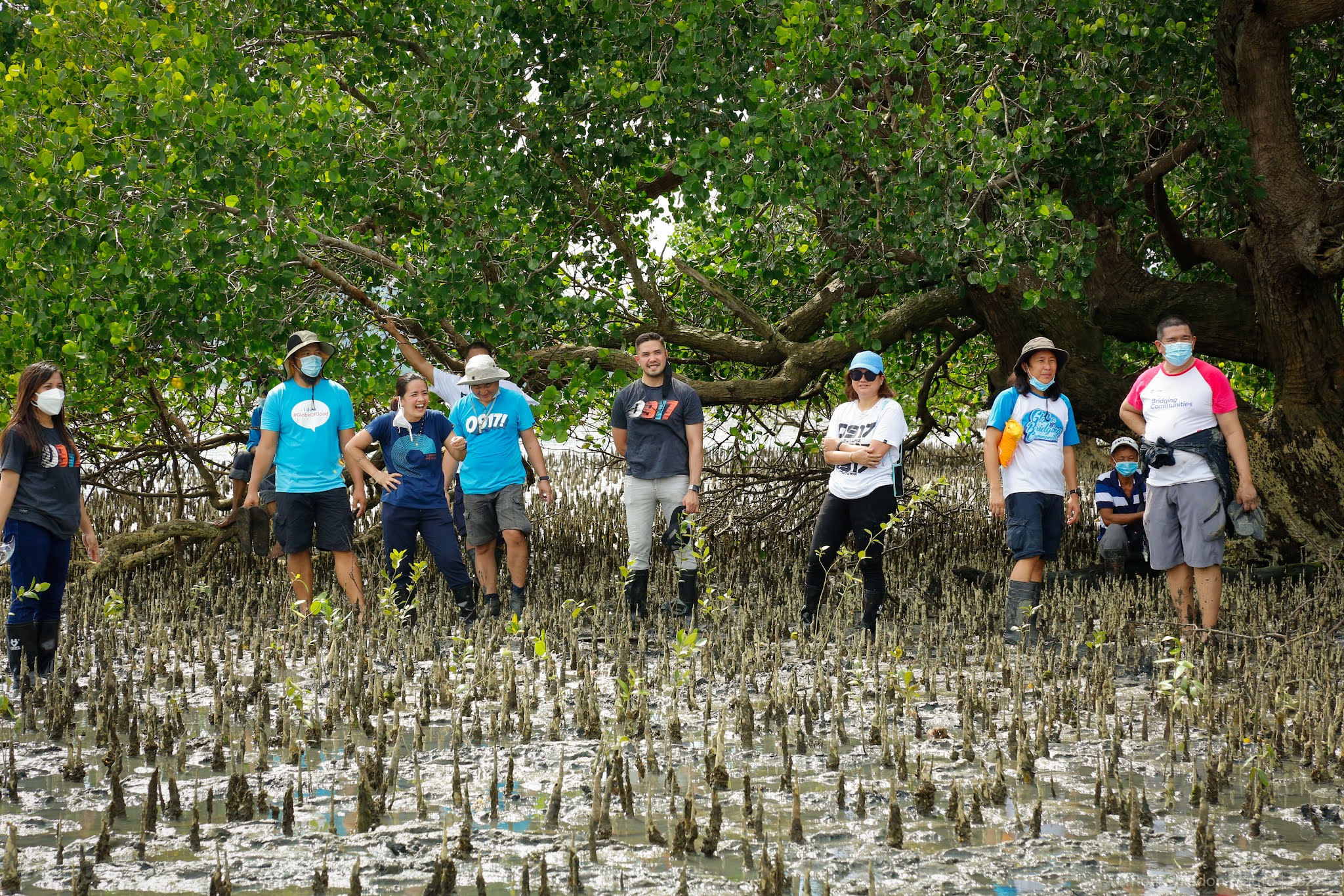 Globe, ZSL join hands with Iloilo fisherfolks for mangrove conservation ...