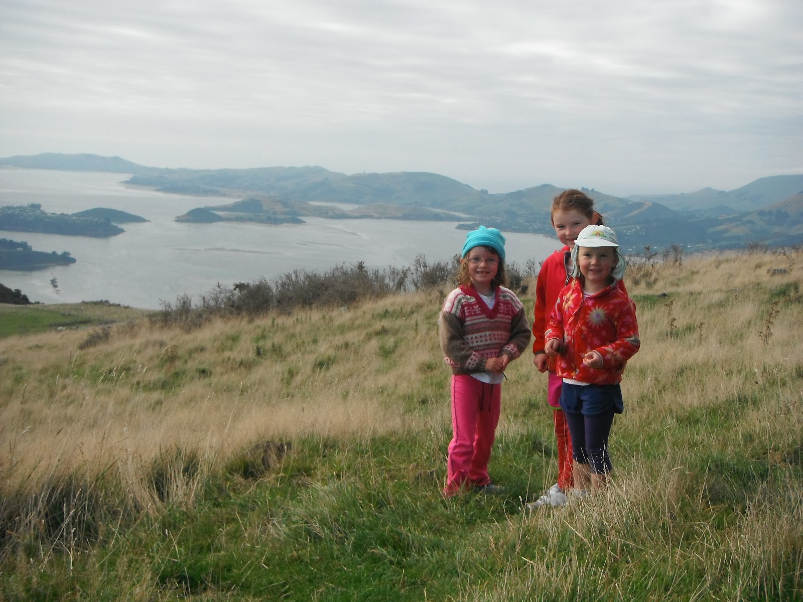 Mini Missions with Little Legs Signal Hill to Cleghorn Street