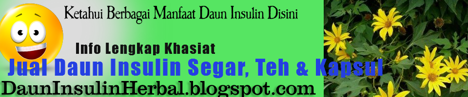 Manfaat Daun Insulin Untuk Kesehatan Anda | Dapatkan Daun Insulin Disini