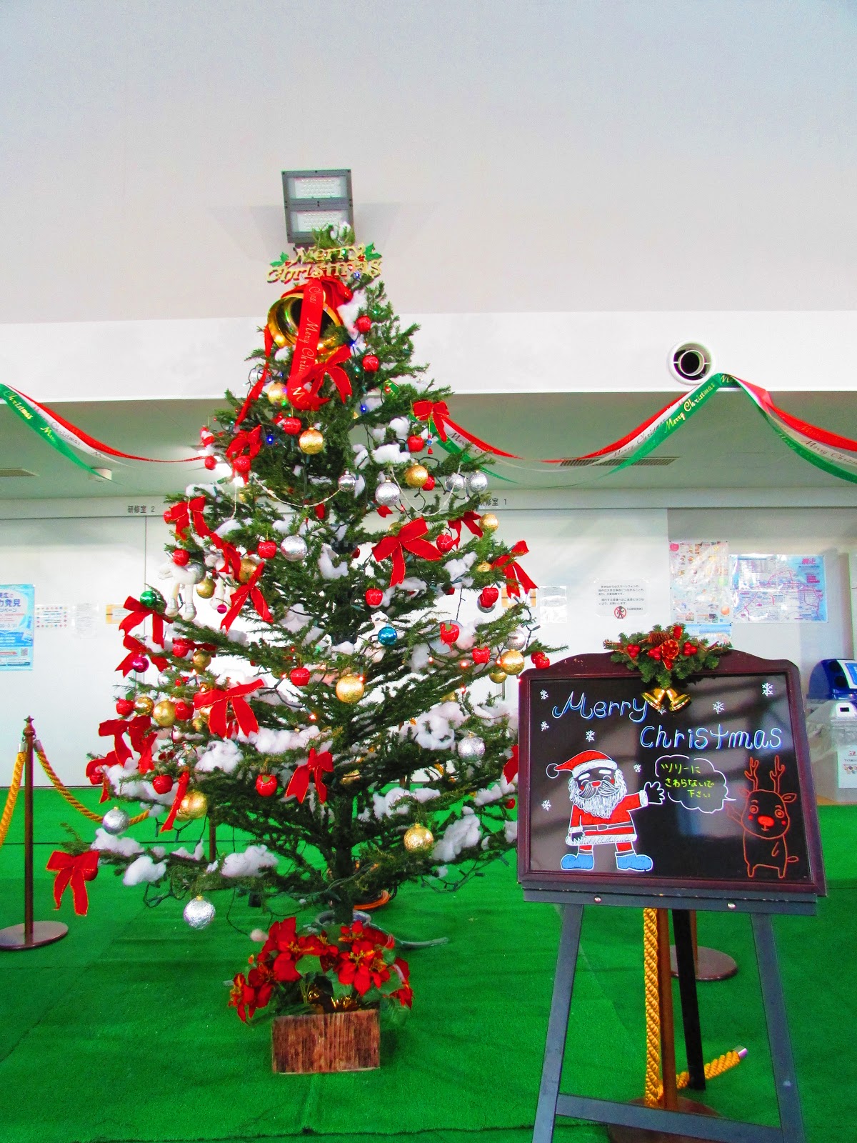 てんとらんど 道立オホーツク公園もクリスマスムード一色に
