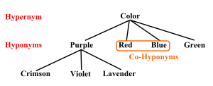 hyponym educations