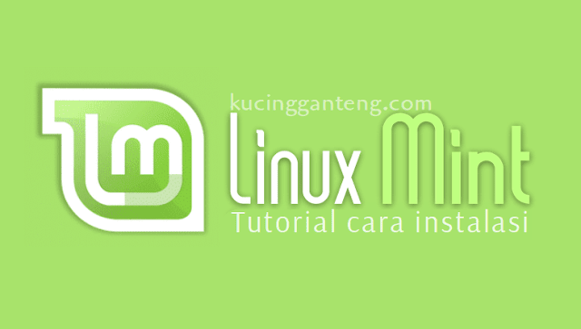 Panduan Lengkap Cara Install Linux Mint 19.2 Untuk Pemula 